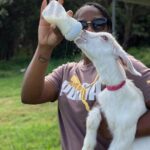 Bottle Feed & Cuddle Baby Goats Tour on Big Island Farm - Why This Tour Offers Great Value