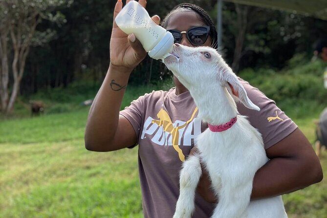 Bottle Feed & Cuddle Baby Goats Tour on Big Island Farm - Why This Tour Offers Great Value