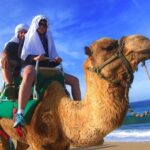 Cabo Camel and Safari Ride - Final Thoughts
