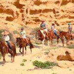 Cabo Desert ATV & Beach Horseback Combo enjoy adventure and beauty! - Who Should Book This Tour?