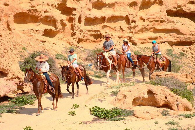 Cabo Desert ATV & Beach Horseback Combo enjoy adventure and beauty! - Who Should Book This Tour?
