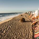 Cabo Lifestyle Photoshoot - The Location: El Medano Beach and Cabo’s Iconic Rock Formations