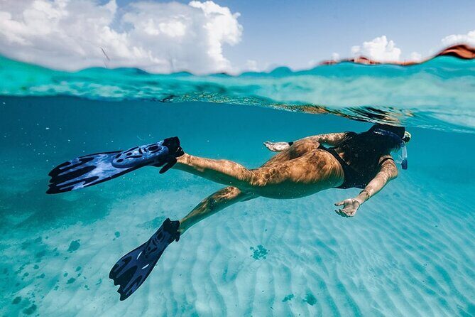 Cabo San Lucas Arch Tour and we go down to Playa del Amor - Drawbacks and Considerations  