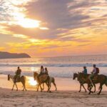 Cabo Shore Excursion: Beach Horseback Ride & Tequila Tasting - Final Thoughts