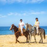 Cabo Tour Mexico Camel and Horseback Ride with ATV Adventure - Who Will Love This Tour?