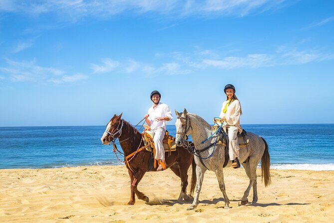 Cabo Tour Mexico Camel and Horseback Ride with ATV Adventure - Who Will Love This Tour?