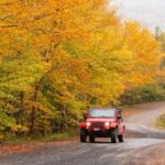 Cabot Trail Jeep Adventure - Cruise Excursion - Transportation & Comfort