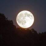 Cacao ceremony on the beach of Holbox - The Experience Itself: Step-by-Step Breakdown