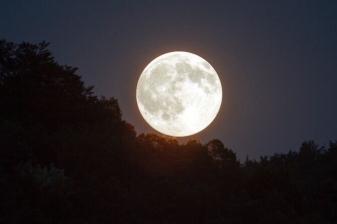 Cacao ceremony on the beach of Holbox - The Experience Itself: Step-by-Step Breakdown  