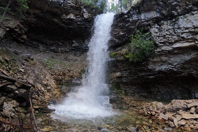 Calgary to the Rocky Mountains Private Day Tour - Practical Details That Make a Difference