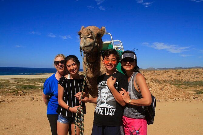 Camel Ride On The Beach at Los Cabos - The Value of the Tour