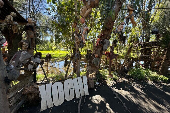 Canals Boat Tour + Doll Island + Ajolote Shrine - Authentic Experiences from Other Travelers