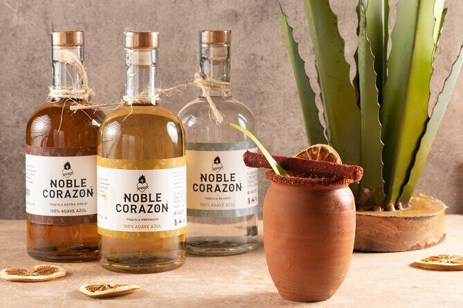 Cancun Tequila Tasting and Pairing - How the Tour Is Structured