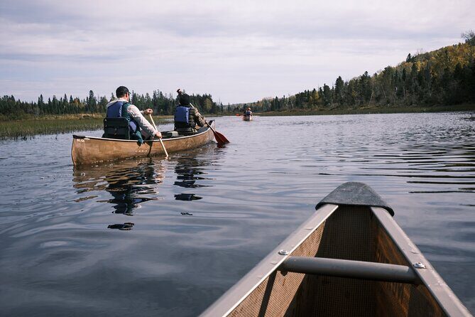Canoe National Forest Lakes (Lutsen/Grand Marais) - Why This Tour Offers Great Value