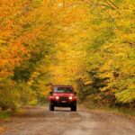 Cape Breton Fall Colours Tour On and Off Road - Discovering Cape Breton’s Fall Colors: An Honest Review of the On and Off Road Tour