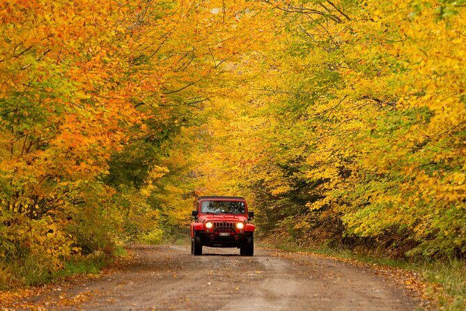Cape Breton Fall Colours Tour On and Off Road - Discovering Cape Breton’s Fall Colors: An Honest Review of the On and Off Road Tour