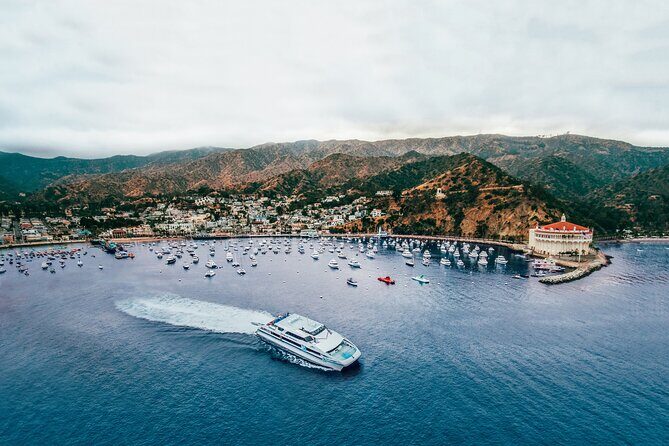 Catalina Express: Avalon to San Pedro One-Way Ferry - What to Expect on the Ferry Ride