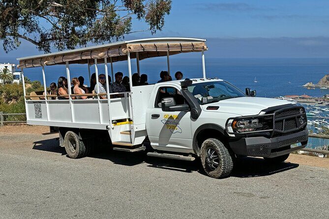 Catalina Island City and Scenic Mt Ada Tour - A Detailed Look at the Catalina Island City and Scenic Mt. Ada Tour