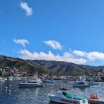 Catalina Scavenger Hunt Walking Tour and Game - Final Thoughts: Is It Worth It?