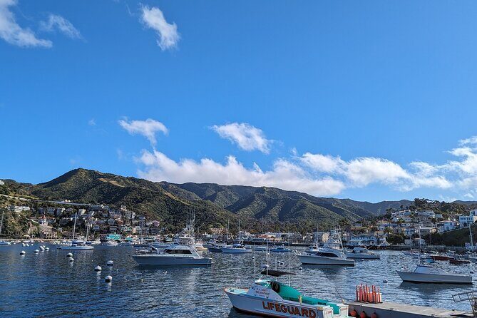Catalina Scavenger Hunt Walking Tour and Game - Final Thoughts: Is It Worth It?