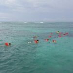 Catamaran Isla Mujeres Unlimited Departing from Playa del Carmen - What’s Included and What’s Not