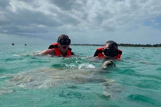 Cenote and Swimming with Turtles Private Tour in Akumal - Additional Time and Flexibility