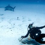 Cenote Diving in Tulum A Thrilling Adventure for Certificates - The Experience from a Reviewers Perspective