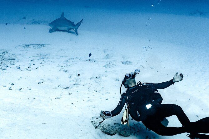 Cenote Diving in Tulum A Thrilling Adventure for Certificates - The Experience from a Reviewers Perspective