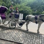 Central Park Horse Carriage Rides Since 2005 - Practical Details