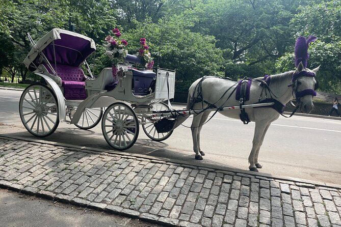 Central Park Horse Carriage Rides Since 2005 - Practical Details