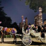 Central Park Moonlight Tour with Photo (45 min) ~ Skip the line - The Itinerary and Sights