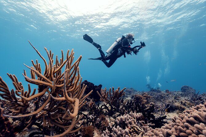 Certified Diving 2 Tanks in Cozumel - What’s Included & What’s Not