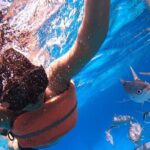 Chankanaab Park Admission +Snorkeling + Lunch included - The Itinerary Breakdown: What to Expect