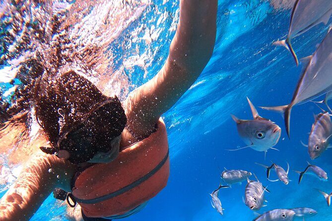 Chankanaab Park Admission +Snorkeling + Lunch included - The Itinerary Breakdown: What to Expect