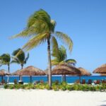 Chankanaab Park and Island Tour by Buggy with Mexican Lunch - The Mayan Extreme Park: Cultural and Tasting Gems