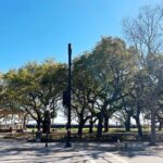 Charleston in Comfort: A Small Group City Tour with Sprinter Van - The Sum Up