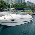 Chicago City Boat Tours - The Itinerary in Detail