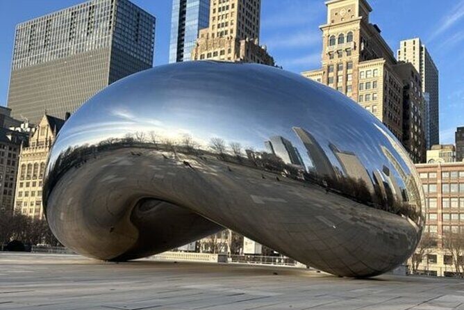 Chicago Highlights Private Walking Tour with a Guide - Insights from Reviewers