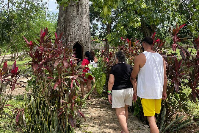 Chichen Itza and Mayan Traditions - The Itinerary Breakdown: What Makes Each Stop Special