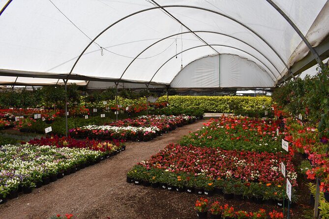 Cholula and Atlixco tour (private tour) - The value of the experience