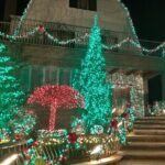Christmas Lights Tour of Dyker Heights Brooklyn - Who Is This Tour Best Suited For?