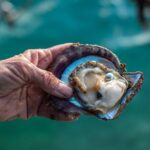 CityTour in Cabo San Lucas and Transparent Boat Tour to the Arch - In-Depth Breakdown of the Itinerary