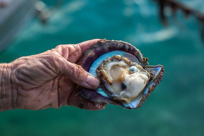 CityTour in Cabo San Lucas and Transparent Boat Tour to the Arch - In-Depth Breakdown of the Itinerary