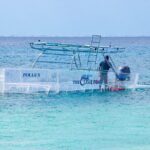 Clear Boat Adventure to Shipwrecks and Snorkel - What Travelers Are Saying