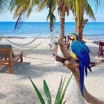 Clear Boat and Island Tour by Buggy with Mayan Experience - How Value Comes Together