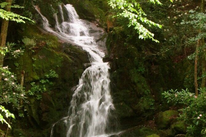 Clear Creek Falls Hike - Practical Details and Tips