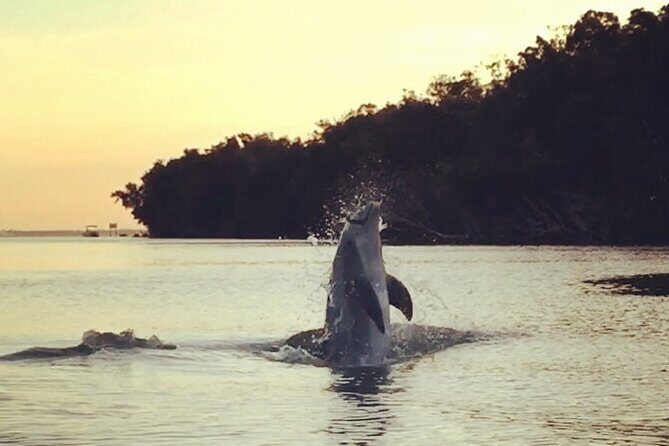 Clear Kayak Sunset Tour - Cocoa Beach - Who Is This Tour Perfect For?