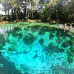 Clear Kayak Three Sisters Springs Sunset and Glow Tour - The Tour Breakdown