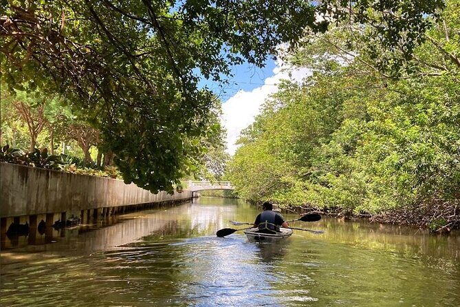 Clear Kayak Tour in South Miami Beach and Biscayne Bay - The Experience: A Balance of Nature and Cityscape
