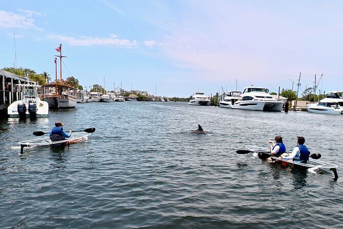 Clear Kayak Tour of Tarpon Springs Sponge Docks & Mangroves - Who Should Consider This Tour?